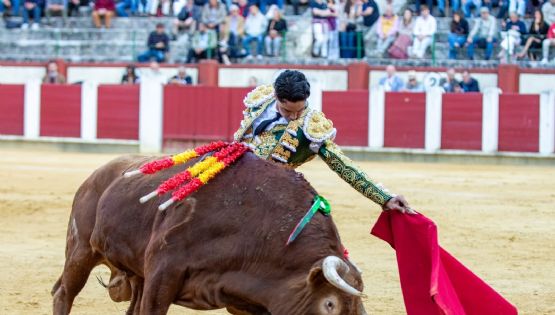 Mario Navas: la seda vallisoletana y el milagro de la pureza desnuda