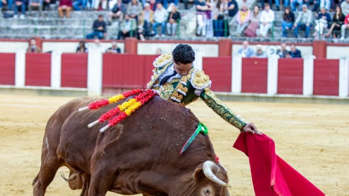 Mario Navas: la seda vallisoletana y el milagro de la pureza desnuda