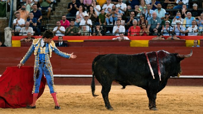 Sin un gran toro no hay grandes toreros
