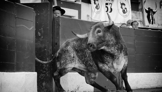 52 Diputados contra la Tauromaquia (2)