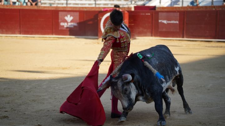 Torija deja el mejor concepto en una novillada de escaso lucimiento