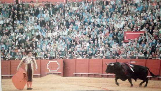 Víctor Puerto: "Cuando el toreo se convierte en memoria y la despedida en un nuevo comienzo..."