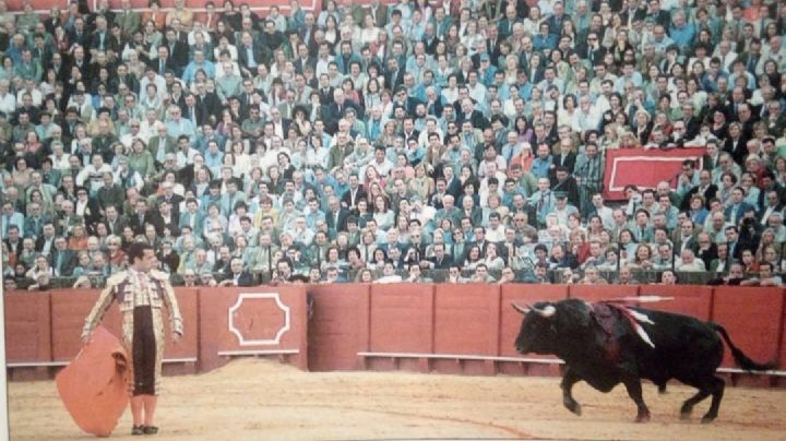 Víctor Puerto: "Cuando el toreo se convierte en memoria y la despedida en un nuevo comienzo..."
