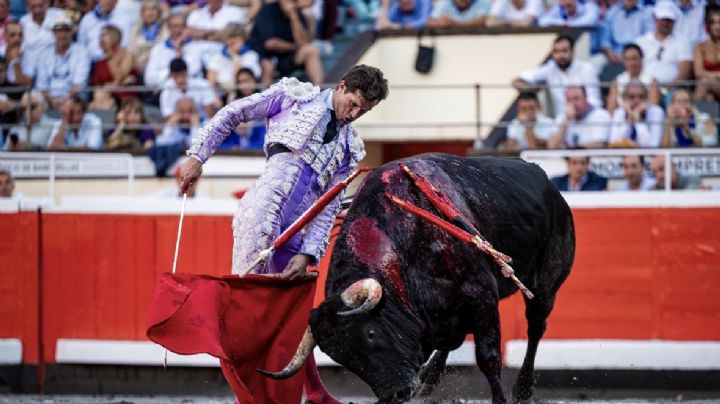 Dos toros, dos tratados de lidia: la insultante superioridad del toreo de Luque en Vista Alegre