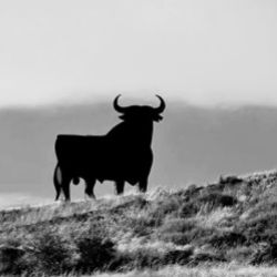Aquellos sesenta… (XXVII)