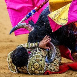 Morante ante el último asalto