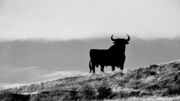 Aquellos sesenta… (XXVII)