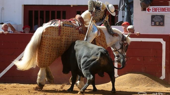 Donde se demuestra que la lidia del toro es incruenta