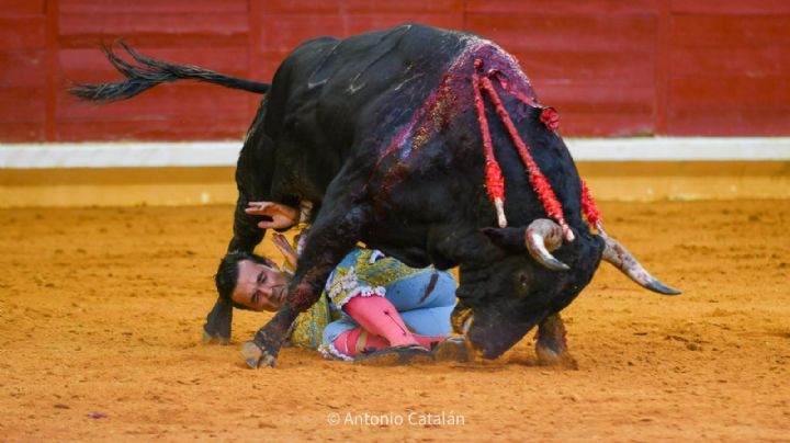Cristian Pérez, herido de gravedad cornada de 30 centímetros con dos músculos desgarrados