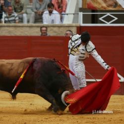 Córdoba bautiza a un torero