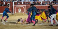 Secuencia de la cogida de Damián Castaño en Albacete
