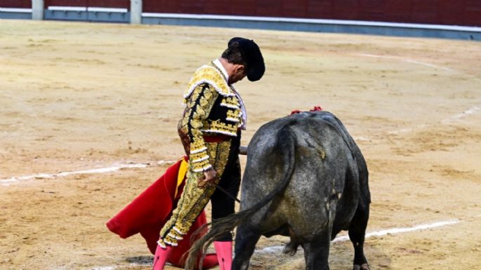 "Pañero", Javier Martín y Damián Castaño: una oda al tercio de varas