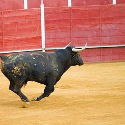 Ni una Tarifa más