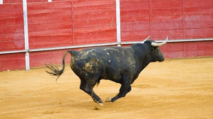 Ni una Tarifa más