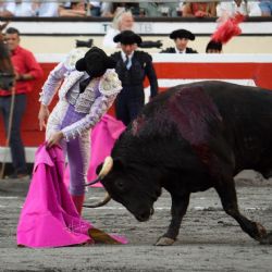 El toreo se está comiendo las semillas