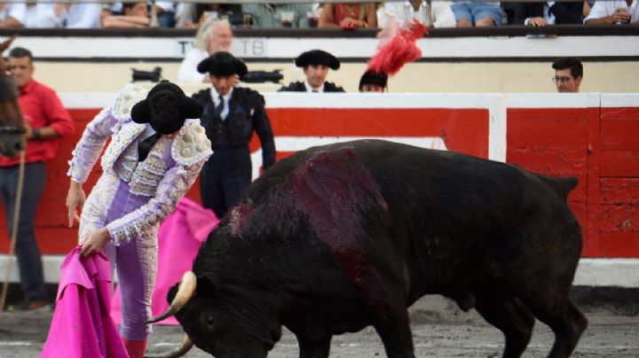 El toreo se está comiendo las semillas