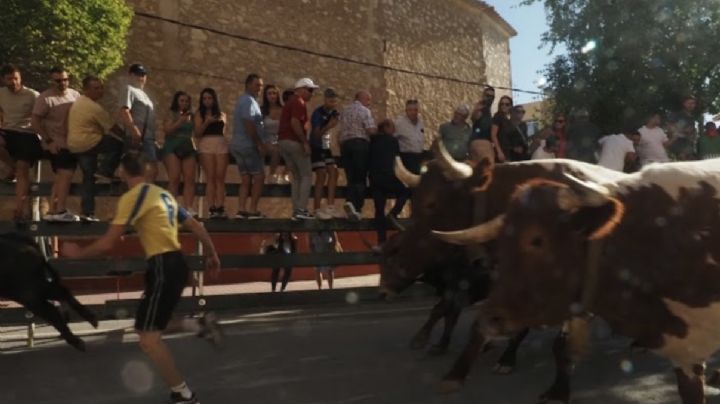 Un corredor granadino sufre una cornada grave en el encierro de ayer en Calasparra (Murcia)